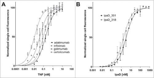 Figure 3. Affinity of Fab antibody fragments expressed on the surface of yeast cells. The mean fluorescence intensity (MFI), determined by FACS analysis, is plotted against varying concentrations of antigen for every Fab construct, and fit to a monovalent binding model. Measurements were done in triplicate with independent cultures and inductions. (A) Equilibrium binding constants KD of the four anti-TNF Fabs for TNF at 20°C. Curve fitting results in a KD of 114 ± 6 nM for adalimumab Fab, 102 ± 14 pM for infliximab Fab, 39 ± 4 pM for golimumab Fab and 11 ± 1 pM for certolizumab Fab. (B) Equilibrium binding constants KD of the two anti-IpaD Fabs for IpaD at 20°C. KD IpaD_301 Fab = 3.2 ± 0.3 nM, KD IpaD_318 Fab = 1.7 ± 0.2 nM.