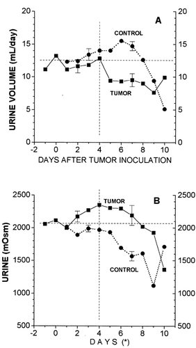 Figure 3. Changes in urine volume and osmolality in rats that received multifocal simultaneous inoculations of the Walker-256 tumor as compared with the pair-fed controls. The points are the mean±SEM of x-y rats per group. Urine volume, paired t-test: a) tumor group, significant decrease of during days 5-8, −2.5 ±0.9 mL day, p< 0.05; b) control group, significant increase of during days 6-7, +1.8± 0.7 mL/ day,p < 0.05. Urine osmolality, paired t-test : a) tumor group, significant rise of from day 3, 220±70 mOsm, p < 0.05, b) control group, significant decrease of 309±79 mOsm on days 6-8, sp < 0.01. (*) For pair-fed controls, day 5 was actually the first day in which food was restricted in these rats.