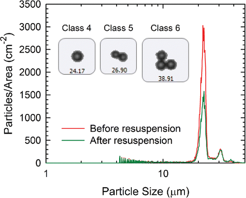 Figure 2. The particle size distribution of the glass spheres on a glass surface before and after a resuspension experiment. The images correspond to Classes 4, 5, and 6 glass particles.