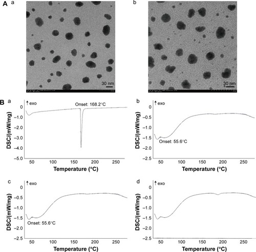 Figure 3 TEM images and DSC thermograms of DPT formulations.Notes: (A) TEM images of (a) DPT-PM and (b) DPT-PCM. (B) DSC thermograms of (a) DPT; (b) PICs; (c) physical mixture composed of DPT and PICs (weight ratio of DPT/PICs =1/5); and (d) DPT-PCM (weight ratio of DPT/PICs =1/5).Abbreviations: DPT, deoxypodophyllotoxin; DSC, differential scanning calorimetry; PCM, polyion complex micelle; PEG, poly(ethylene glycol); PDLLA, poly(d,l-lactide); PIC, polyion complex; mPEG, methoxy PEG; PLG, polyglutamate; PLL, poly(l-lysine); PM, polymeric micelle; TEM, transmission electron microscopy.