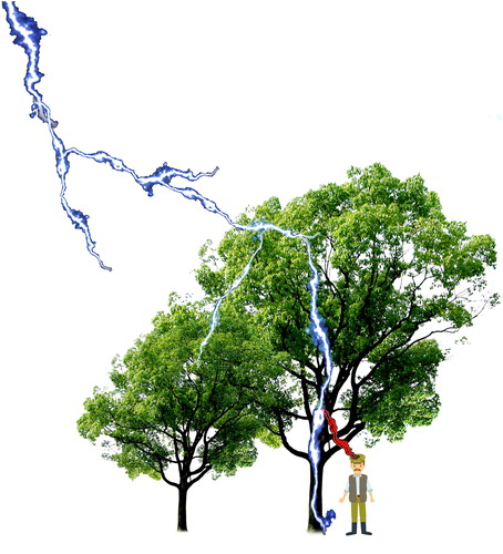 Figure 7. Schematic diagram for the mechanism between the lightning, the trees and the victim together.