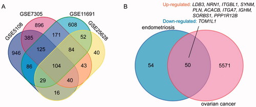 Figure 1. Venn diagram. (A) DEGs of endometriosis were selected with a fold change >1 and p value <.05 among the expression profiling sets GSE5108, GSE7305, GSE11691 and GSE25628. The four datasets showed an overlap of 104 genes. (B) DEGs of endometriosis and ovarian cancer datasets showed an overlap of 50 genes including 10 up-regulated and one down-regulated DEGs.