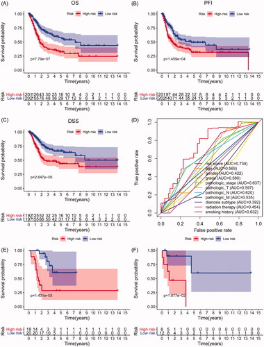 Figure 3. Survival analyses of the IAGs based signature in BC. Kaplan–Meier’s curves revealed that high risk scores are closely associated with poor overall survival (OS), progression-free interval (PFI) and disease-specific survival (DSS) in BC patients (A–C). The ROC curves showed that AUCs for the IAGs based signature, age, gender, grade, pathologic stage, pathologic T, pathologic N, M, diagnosis subtype, radiation therapy and smoking history were 0.739, 0.569, 0.422, 0.580, 0.637, 0.597, 0.620, 0.535, 0.392, 0.454 and 0.632 (D), respectively. High risk scores indicate poor survival outcomes in NMIBC patients receiving BCG treatment (E) and BC patients receiving radiation therapy (F).