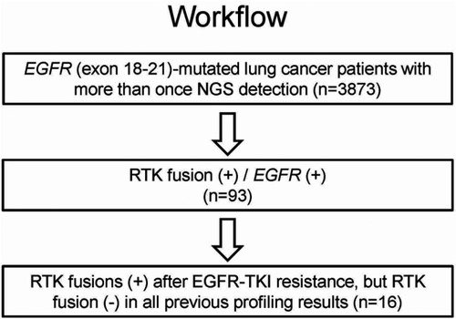 Figure 1 Workflow of patient selection.Abbreviations: RTK, receptor tyrosine kinase; TKI, tyrosine-kinase inhibitor.