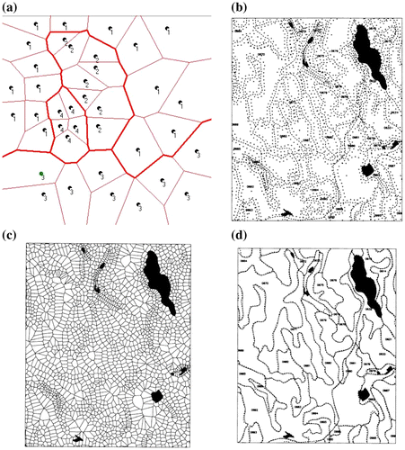 Figure 2. (a) Skeleton between rock types; (b) Labeled points inside polygons; (c) Voronoi cells; (d) Labeled-point Skeleton.