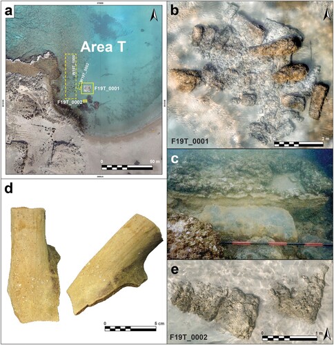 Figure 4. (a) Location map of Area T in South Bay; (b) Remains of Tower(?) F19T_0001 and wall F19T_1000; (c) Detail of E-shaped stone-cut feature in tower wall; (d) Basket-handled amphora sherd; (e) Wall (F19_0002) east of the tower (prepared by E. Arkin Shalev, A. Tamberino, M. Runjajić and J.J. Gottlieb).