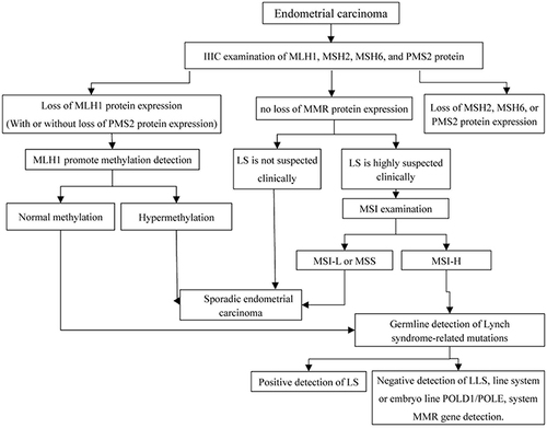 Figure 4 Lynch syndrome screening process.