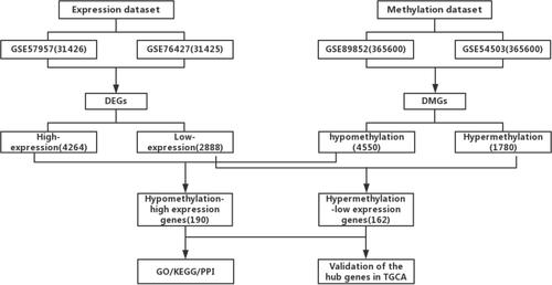 Figure 1 The flow chart of this study.