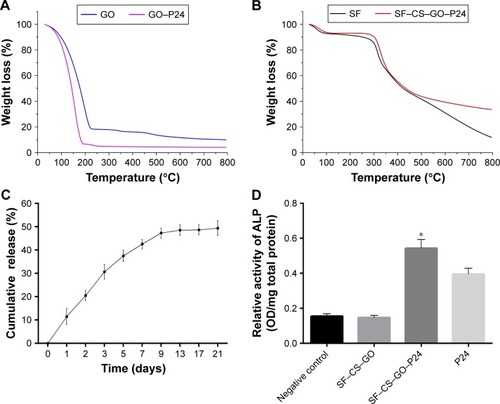 Figure 5 (A) TGA curves of GO and GO–P24. (B) TGA curves of SF and SF–GO–P24. (C) The cumulative release curve of P24 polypeptide from GO–P24 at 37°C in PBS. (D) ALP activity of BMSCs after 7 days of culture (n=3, *P<0.05 as compared with negative control, P24 positive control, and SF–CS–GO scaffolds).Abbreviations: TGA, thermogravimetric analysis; GO, graphene oxide; SF, silk fibroin; BMSC, bone marrow mesenchymal stem cell; CS, chitosan.