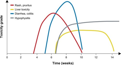 Figure 3 Average time to onset of adverse events associated with ipilimumab. Kinetics of appearance of immune-related adverse events by organ class over time.Note: Reprinted with permission. © 2012 American Society of Clinical Oncology. All rights reserved. Weber JS, Kähler KC, Hauschild A. Management of immune-related adverse events and kinetics of response with ipilimumab. J Clin Oncol. 2012;30(21):2691–2697.Citation8