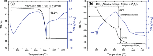 Figure 1. Thermogravimetric and differential thermal analyses (TG/DTA) of (a) CaCO3 and (b) NH4H2PO4.