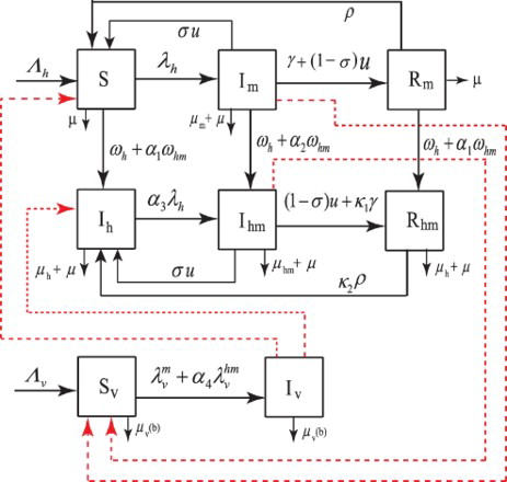 Figure 1. Schematics model diagram.