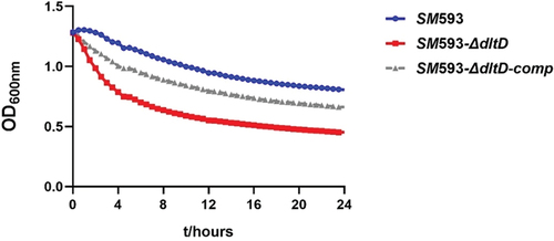 Figure 4. TritonX-100-induced autolysis.