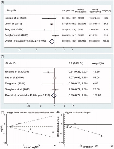 Figure 3. Summary estimate for RR of low eGFR according to HBsAg serologic status (A) Summary estimate for OR of low eGFR according to HBsAg serologic status; (B) Summary estimate for adjusted RR of low eGFR according to HBsAg serologic status; (C) Begg’s funnel plot; (D) Egger’s funnel plot.