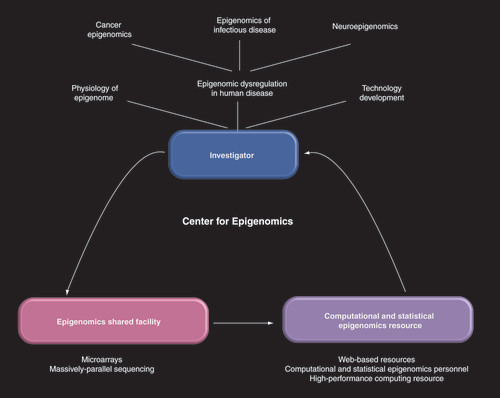 Figure 2. The organization of Einstein‘s Center for Epigenomics is designed to foster several avenues of research, of which studies of human diseases is a major emphasis.By tightly integrating the activities of the data generating and data analytical components of the Center, a streamlined system of sample handling and analysis can be created that allows investigators to perform epigenomics projects that would be otherwise difficult to initiate.