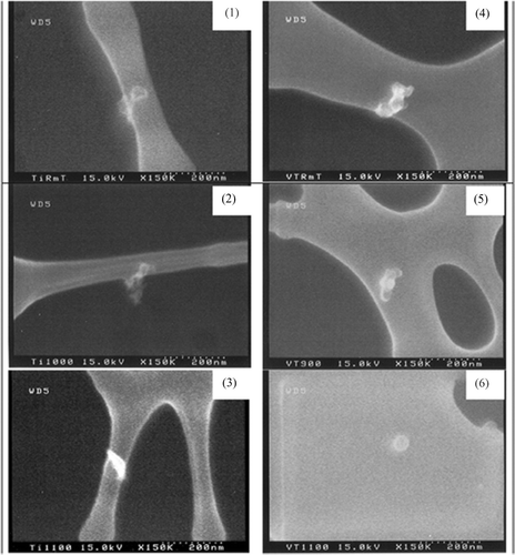 FIG. 3 SEM pictures of pristine titanium dioxide at various sintering furnace temperatures: (1) room temperature, (2) 1000°C, and (3) 1100°C and vanadium doped titania at various sintering furnace temperatures: (4) room temperature, (5) 900°C, and (6) 1100°C.