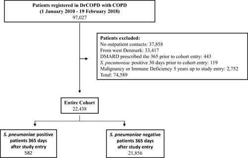 Figure 1 Selection criteria flowchart. The entire cohort consists of 22,438 patients, of which 582 acquired a positive S. pneumoniae from a lower airway tract sample during follow up period of 365 days.