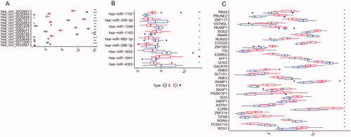 Figure 8. Boxplot of circRNAs (A), miRNAs (B), and mRNAs (C) in the circRNA–miRNA–mRNA regulatory network. C: control group; P: PE group; Up- and downexpressed circRNAs/miRNAs/mRNAs are shown in different shades. Asterisks represent Adj-p/p-value. *** means p<.001. ** means p<.01. * means p<.05.