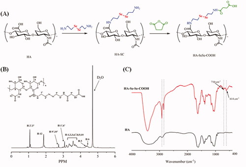 Figure 1. Synthesis and characterization of HA-SeSe-COOH: (A) Synthetic route of HA-SeSe-COOH; (B) 1H-NMR spectrum, and (C) FTIR spectrum of HA-SeSe-COOH.