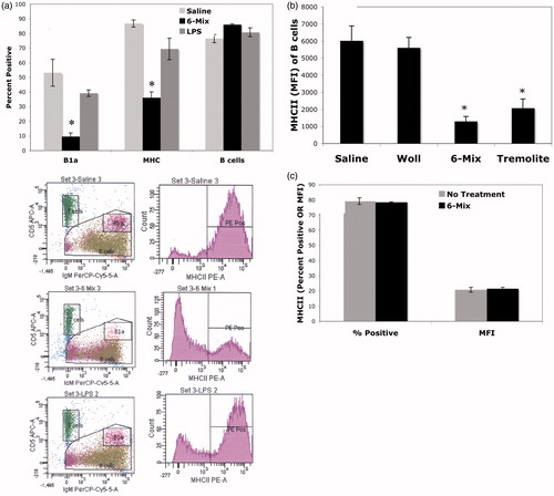 Figure 5. Percentage of MHC II+ B-cells was decreased in the peritoneum after exposure, consistent with a loss of B1a B-cells. Peritoneal cells were harvested (a) 3 days or (b) 7 days after host exposure and then stained. B1a cells = IgM+, CD5+, CD23−; B-cells = All lymphocytes minus T-cells (T = CD5+, IgM−). Representative histograms are presented below (a) demonstrating the reduction in B1a B-cells concurrent with loss of MHCII+ B-cells. (b) Similar outcomes as in (a) and showing similar effect of pure Korean tremolite but not the control fiber wollastonite (Woll). n = 4 mice/group. (c) In vitro experiments showed no change in expression of MHC II antigen, suggesting that the changes in vivo were due to trafficking. Peritoneal cells were cultured with or without 6-Mix for 3 days and then stained as in (a). n = 3 wells/treatment group. In each figure, values shown are mean ± SEM. *p< 0.05.