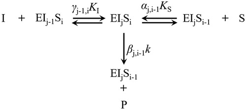 Figure 4. Typical substrate and inhibitor binding and reaction processes. (1 ≤ i, j, i + j ≤ 4). S, P, and I are the substrate, product, and competitive effector, respectively; α, β, and γ represent the kinetic constants change due to interactive effects.