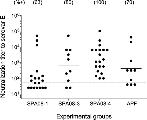 Figure 3. In vitro neutralization titers in sera drawn four weeks after the third vaccine dose. Each dot represents one mouse and the horizontal line indicates geometric mean titers (GMT)