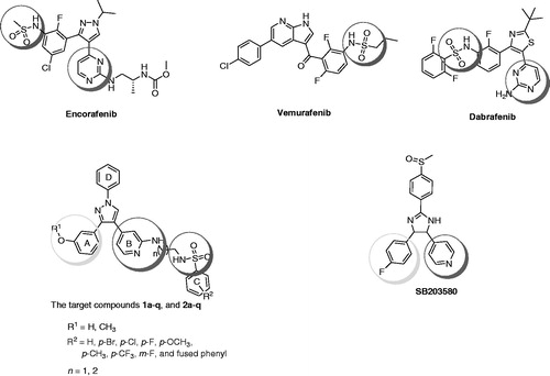 Figure 1. Structures of encorafenib, vemurafenib, dabrafenib, SB203580, and the target compounds 1a–q and 2a–q.