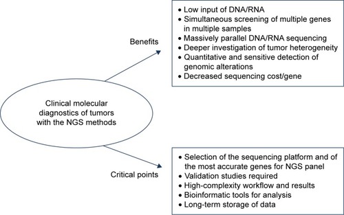 Figure 3 Benefits obtained from the use of NGS methods in clinical molecular diagnostics.