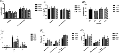 Figure 4. Effects of TQ on plasma parameters. (A) TQ decreased insulin blood level. (B) TQ decreased leptin blood level. (C) TQ increased prolactin blood level. (D) TQ improved lipid profile. (E) TQ20 decreased TNFα level in blood, while TQ10 decreased TNFα level in mammary tissue. (F) TQ 10 decreased IL6 level in blood and mammary tissue. Significant differences between various groups were determined by one-way analysis ANOVA test. Data are expressed as mean ± SD of n = 6/group and values were considered significantly different at p < 0.05. Different letters show significant differences between the groups at p < 0.05. CON: control. HFD: high-fat diet. TQ10: high-fat diet+ thymoquinone 10% ppm. TQ20: high-fat diet+ thymoquinone 20% ppm.