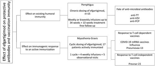 Figure 1. Schematic illustration of pemphigus and gMG trials, trial dosing, and post-hoc analysis conducted.