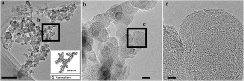 FIG. 1. TEM images of ns-soot and carbon nanospheres. (a) An ns-soot particle from NIST Standard Reference Material (SRM) 1650b (diesel particulate matter). Scale bar = 200 nm. The inset shows a schematic image of carbonaceous nanospheres aggregated to form ns-soot. (b) Enlarged image of (a). Scale bar = 20 nm. (c) High-resolution image of ns-soot particle from (b). The lattice fringes of the ns-soot are evident. Scale bar = 5 nm.
