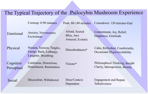 Figure 3. The temporal trajectory of the typical psilocybin mushroom experience as derived from analysis of self-reported mushroom experience reports archived in Erowid Experience Vaults (see Brouwer et al., Citation2023a). Asterisks indicate features of peak psilocybin experiences captured by Altered States of Consciousness (ASC) scales (see Preller & Vollenweider, Citation2016). Note that the overlapping timeframes for the comeup, peak, and comedown phases reflect variability in onset latencies and duration of peak psychedelic effects due to variability in drug dosage and other factors.