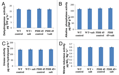 Figure 3. Enzyme activity assay of soils (Odisha, India).Variations of dehydrogenase (A) acid phosphatase (B), urease (C) and nitrate reductae (D) activities in: (1) WT control (−salt); (2) T+salt; (3) T1-PDH 45-salt; (4) T1-PDH 45+salt (200 mM NaCl). Data are significantly not different at p < 0.05, n = 3).