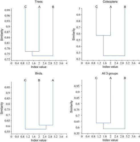 Figure 2. Dendrograms of the Simpson Index for taxa analyzed in the 3 sites sampled in the Sierra Chinajá, Guatemala from June to October 2005. (Sites: A-Nueva Esperanza (380 m), B-Tzulul Qeqchi (750 m), C-Mucbilha (400 m)).