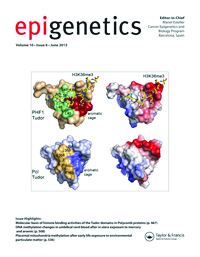 Cover image for Epigenetics, Volume 10, Issue 6, 2015
