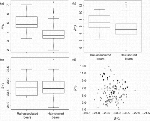 Figure 2. Boxplots depicting nitrogen (δ15N; Panel a), sulfur (δ34S; Panel b), and carbon (δ13C; Panel c) isotope values derived from the hair of grizzly bears killed (black squares) or captured (black circles) on the railway (defined as rail-associated bears; Panel d) and those sampled via hair-snare (grey diamonds; Panel d) in Banff National Park, Alberta, Canada, 2000–2012.