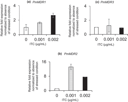 Figure 4. Transcription of P. marneffei MDR genes.