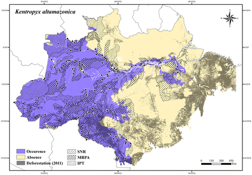 Figure 105. Occurrence area and records of Kentropyx altamazonica in the Brazilian Amazonia, showing the overlap with protected and deforested areas.
