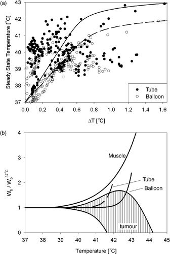 Figure 6. (a) Relation between ΔT and SST for nasogastric tube and balloon catheter measurements. The depicted lines are model fits using equations (4) and (5). (b) Reconstructed perfusion as a function of temperature for tube and balloon catheter measurements, together with the perfusion of tumour and muscle tissue. All curves have been normalized to the values at 37°C. The curves for tumour and muscle perfusion have been reproduced from Song Citation[24].