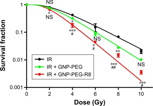 Figure 7 Survival fraction of LS180 cells after incubation with GNP-PEG or GNP-PEG-R8 (400 nM) for 1 h before increasing incremental radiation doses (0, 2, 4, 6, 8, 10 Gy) of 6 MV X-rays (n=3 experiments). Compared with the IR group, *p<0.05, **p<0.01, and ***p<0.001. Compared with the IR+ GNP-PEG group, #p<0.05, and ##p<0.01.Abbreviations: GNP, gold nanoparticle; PEG, poly(ethylene glycol); NS, no significance; R8, octaarginine.