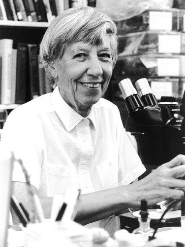 Fig. 1. Dr Lois Tiffany at the microscope in 2003.