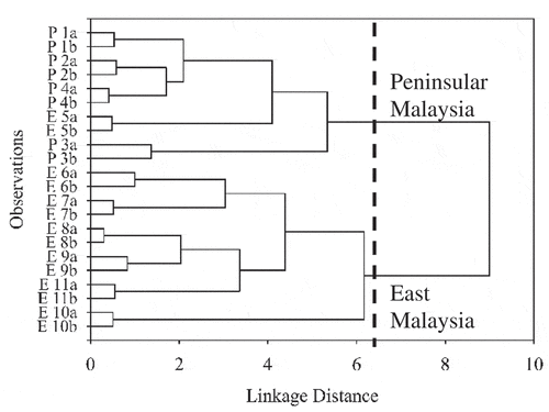 Figure 6. HCA dendrogram of EBN clustering based on geographical origin. The observations, P, Peninsular Malaysia; E, East Malaysia; 1–11, EBN samples; a/b, replicates.