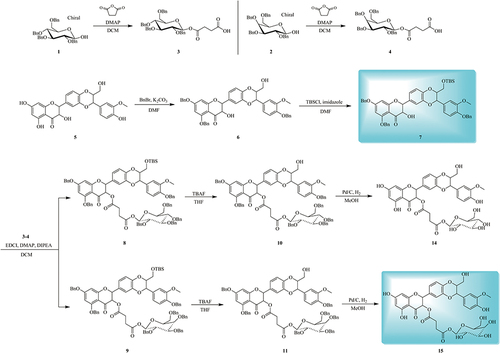 Scheme 1 Synthesis of silibinin derivatives 14–15.