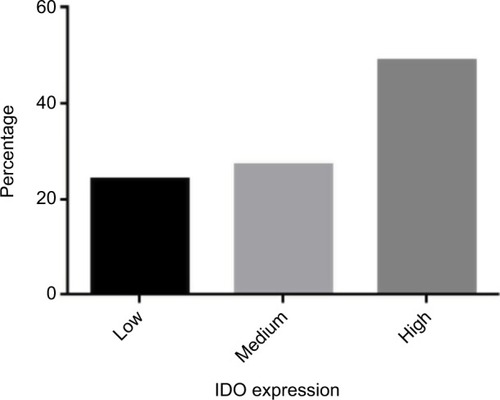 Figure 2 Histogram of IDO expressions: 24% had low IDO expression, 27% had medium IDO expression, and 49% had high IDO expression.Abbreviation: IDO, indoleamine 2,3 dioxygenase.