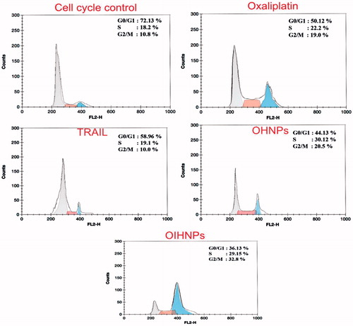 Figure 5. Cell-cycle analysis of HT-29 cells after 72 h of treatment with oxaliplatin, TRAIL, OHNPs, and OIHNPs. Nanoparticles had shown transition S-phase delay with cell-cycle arrest at G2 phase.