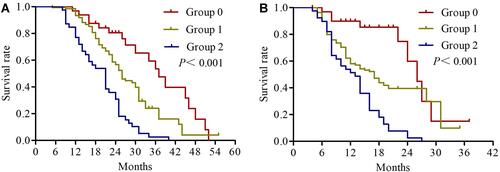 Figure 5 Kaplan-Meier survival curves of overall survival (A) and progression-free survival (B) for NPS group.