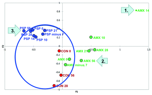 Figure 3. Biplot of Redundancy Analysis: Each point represents a treatment group at a single time point. The region within the circle encompasses all of the control and pre-treatment samples creating a baseline or “core microbiome.” Effects of treatment can be seen as movement away from or outside the core. Maximal divergence of the antibiotic group from the core is seen at Day 14 (end of therapy, arrow 1.). A return toward the core is evident after antibiotic treatment ended but the group’s microbiome still appears outside the core on Day 56 (42 d after stopping amoxicillin, arrow 2.). Divergence of the PSP group from the core is far less dramatic but the group lies outside the core on Day 56 after treatment has ended (arrow 3.).