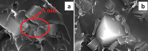 Figure 10. SEM images of (a) PES/SAPO-34 and (b) PES/SAPO-34 with [emim][Tf2N].