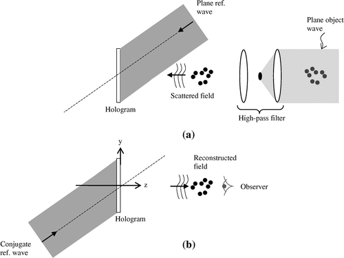 Figure 7. (a) High-pass filtering technique used in the holographic recording of forward-scatter off-axis geometry. (b) Holographic reconstruction eventually results in the suppression of the illumination beam [after Liu and Hussain (Citation1998)].