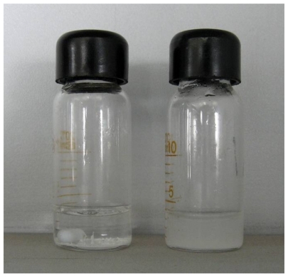 Figure 1 After stirring for 48 hours, paclitaxel 1 mg/mL in pure water was still clear (left). However, the same concentration of paclitaxel in 0.5% RADA16 aqueous solution was changed to a colloidal suspension (right).